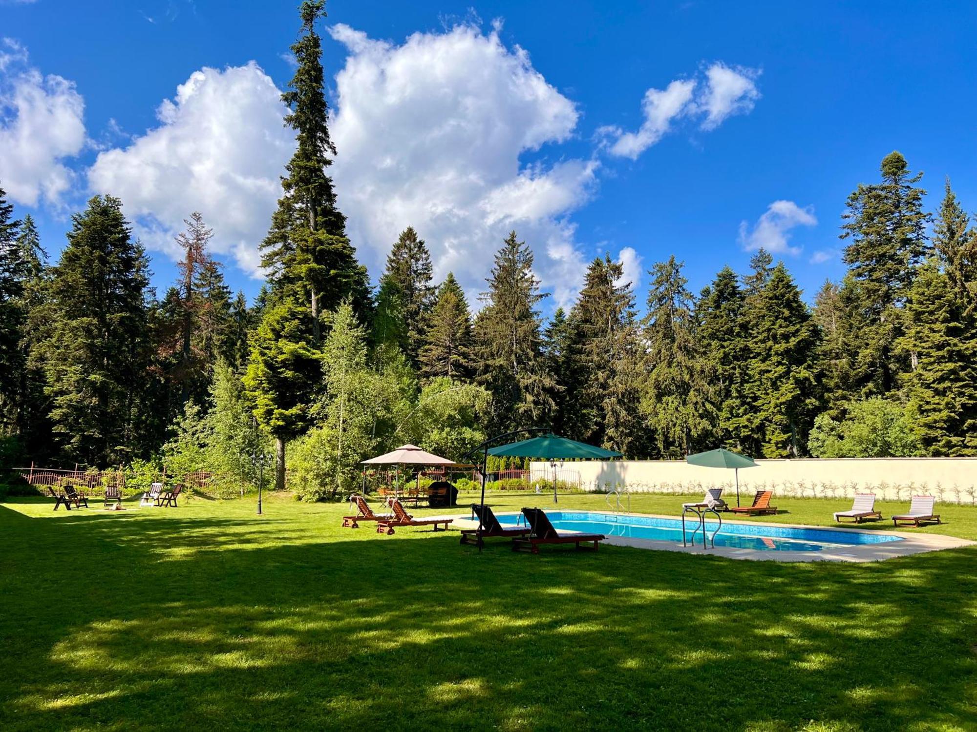 The Castle - Your Unique Way Of Retreat Borovets Bagian luar foto